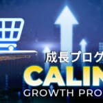 介绍CALINA项目：纪念与积极承诺